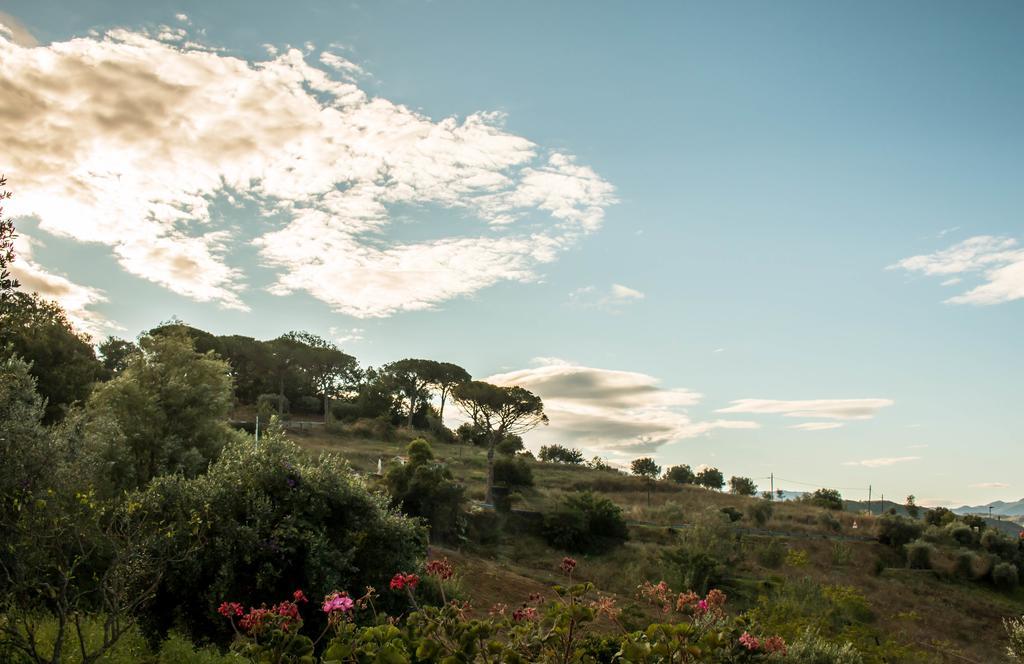 Suite16 Rutino Dış mekan fotoğraf